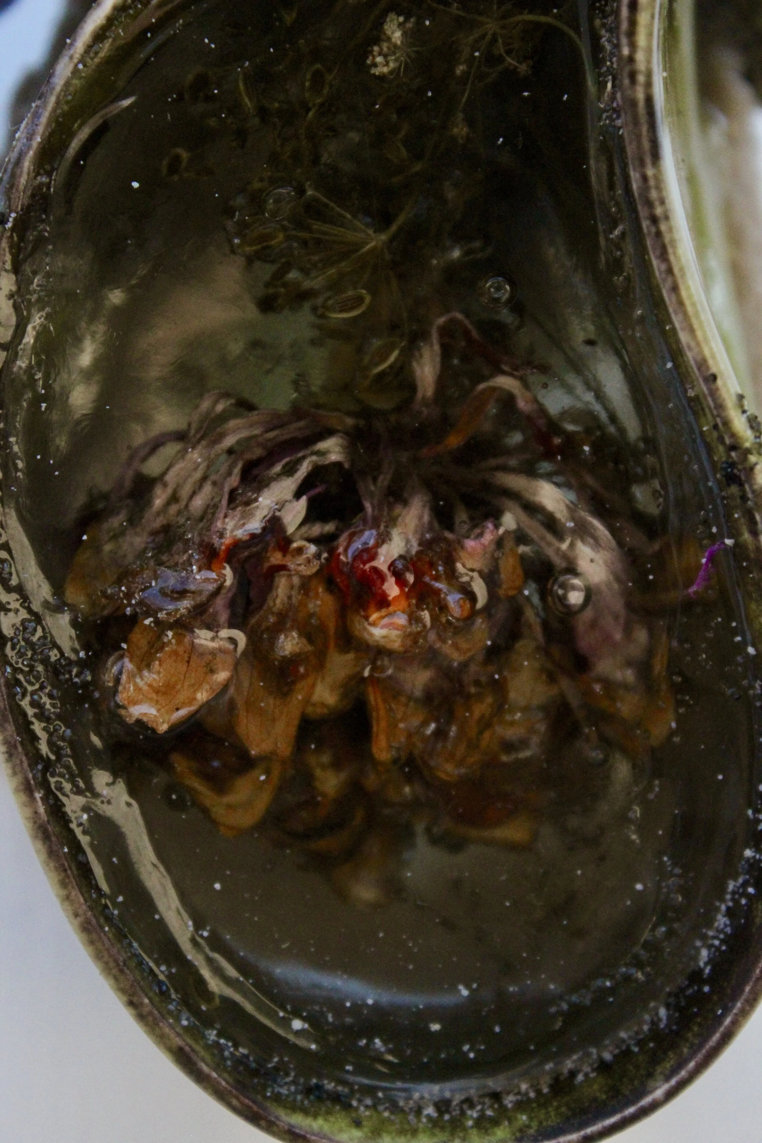 detail - Memory Spoon: ‘the elegant parlor and special room of Harriet Forten and Robert Purvis (1810-75), (1810-1898), porcelain, paper clay, resin with embed flowers (from garden of artist), cone 6 oxidation, silica sand, black sand