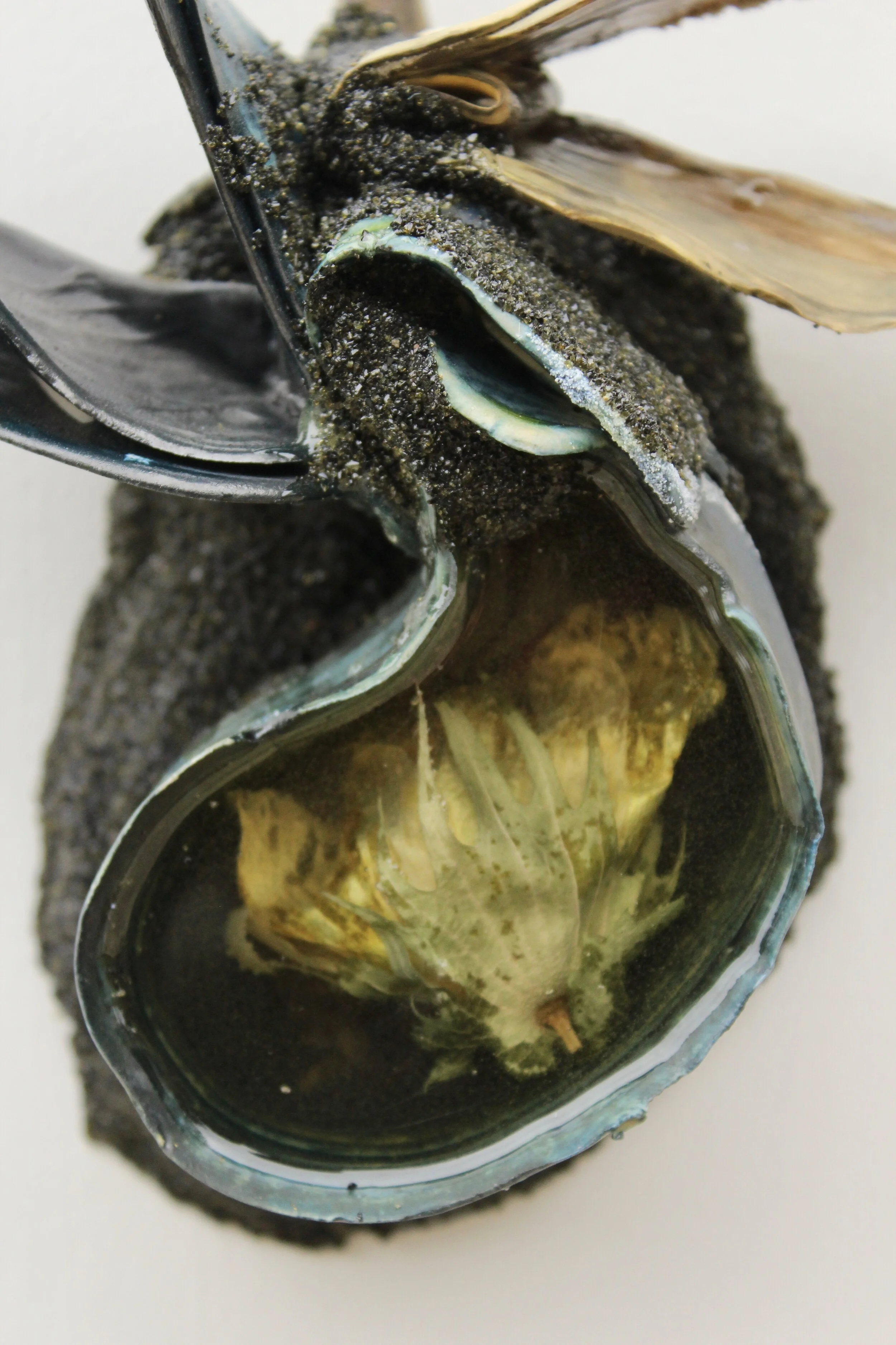 Memory Spoon: ‘plantation values, the tension and only available pride, as she waits for her cotton bushel weight to be revealed, then a vicitim of her success for another’s reward’; porcelain, paper clay, resin embed with cotton grown by artist, black sand, epoxy