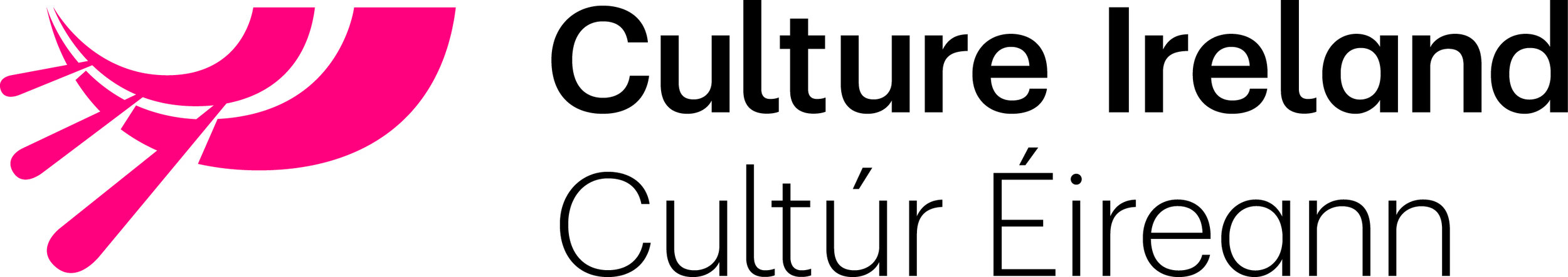 Dylan Brennan's visit is made possible thanks to Culture Ireland