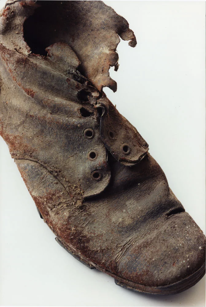 Fig. 1.jpg