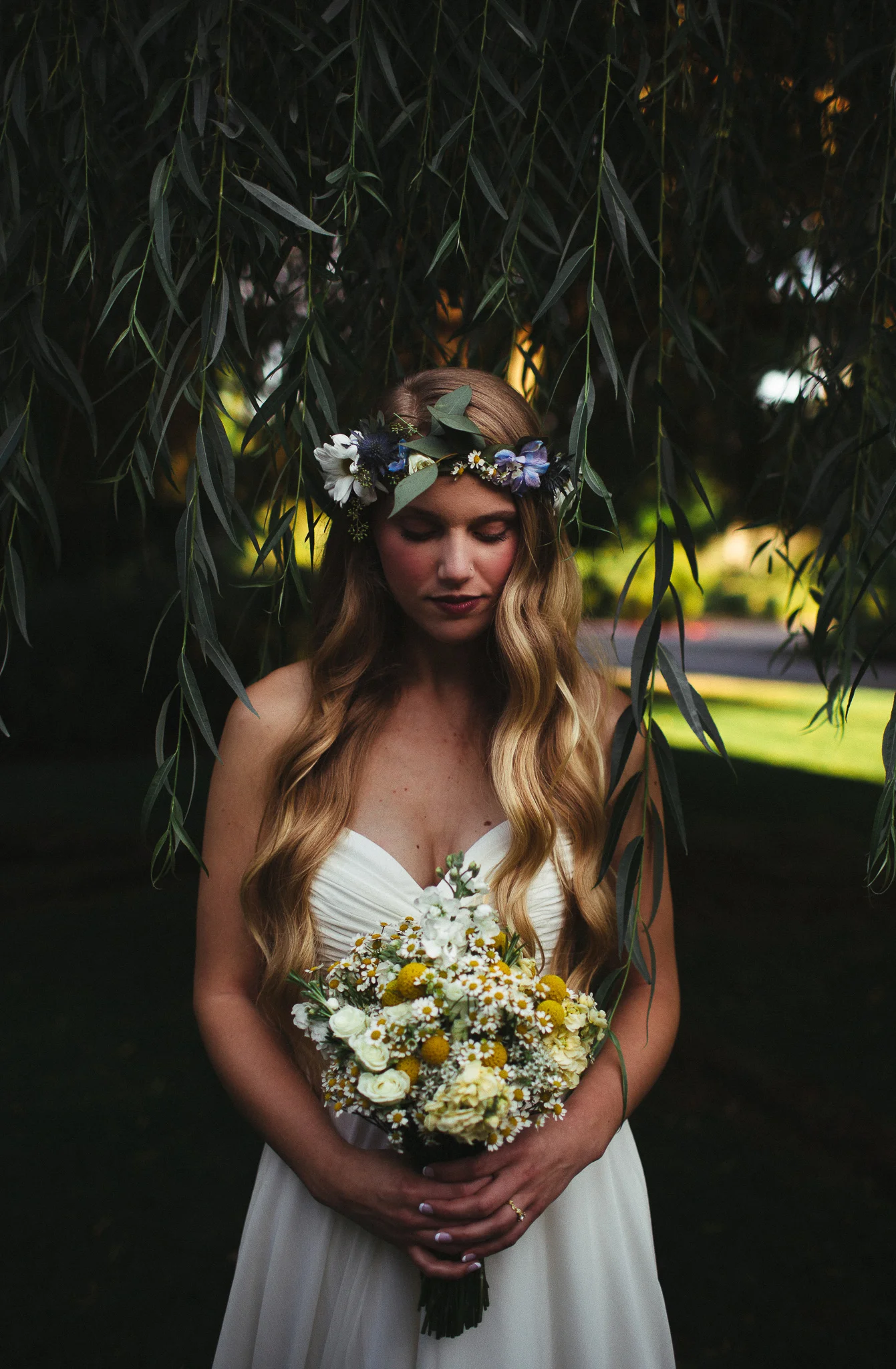 20150820-Website-365.jpg