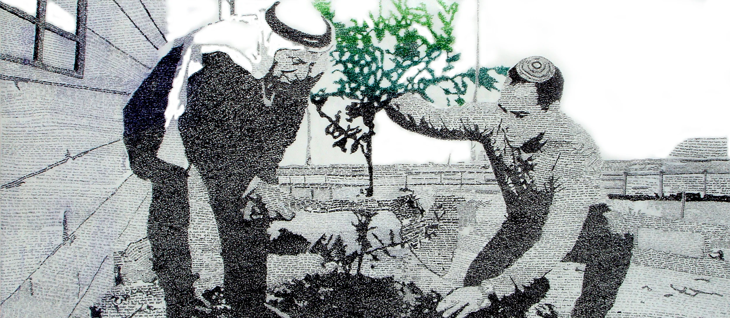Nulong.jpg