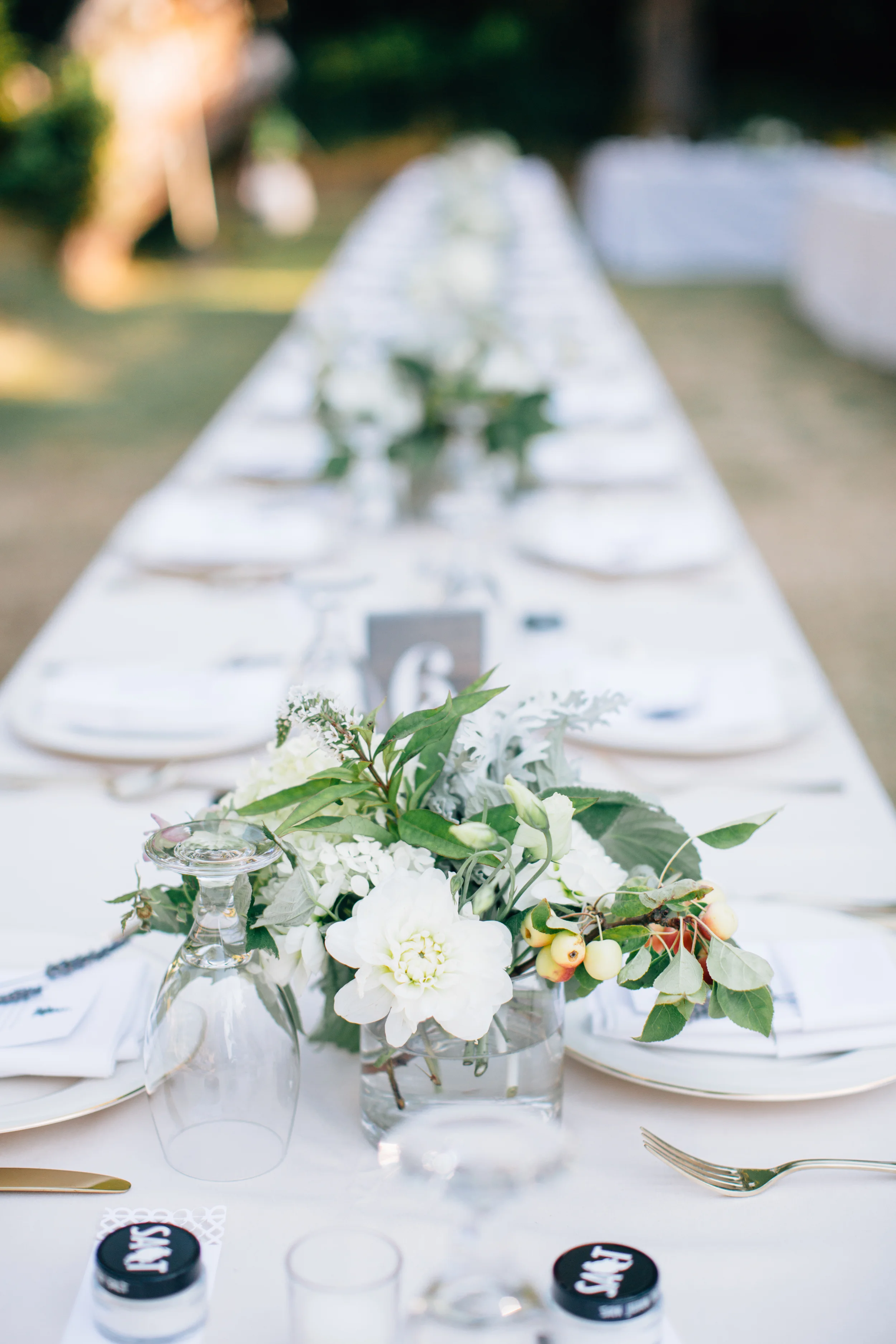 Wedding_246.jpg
