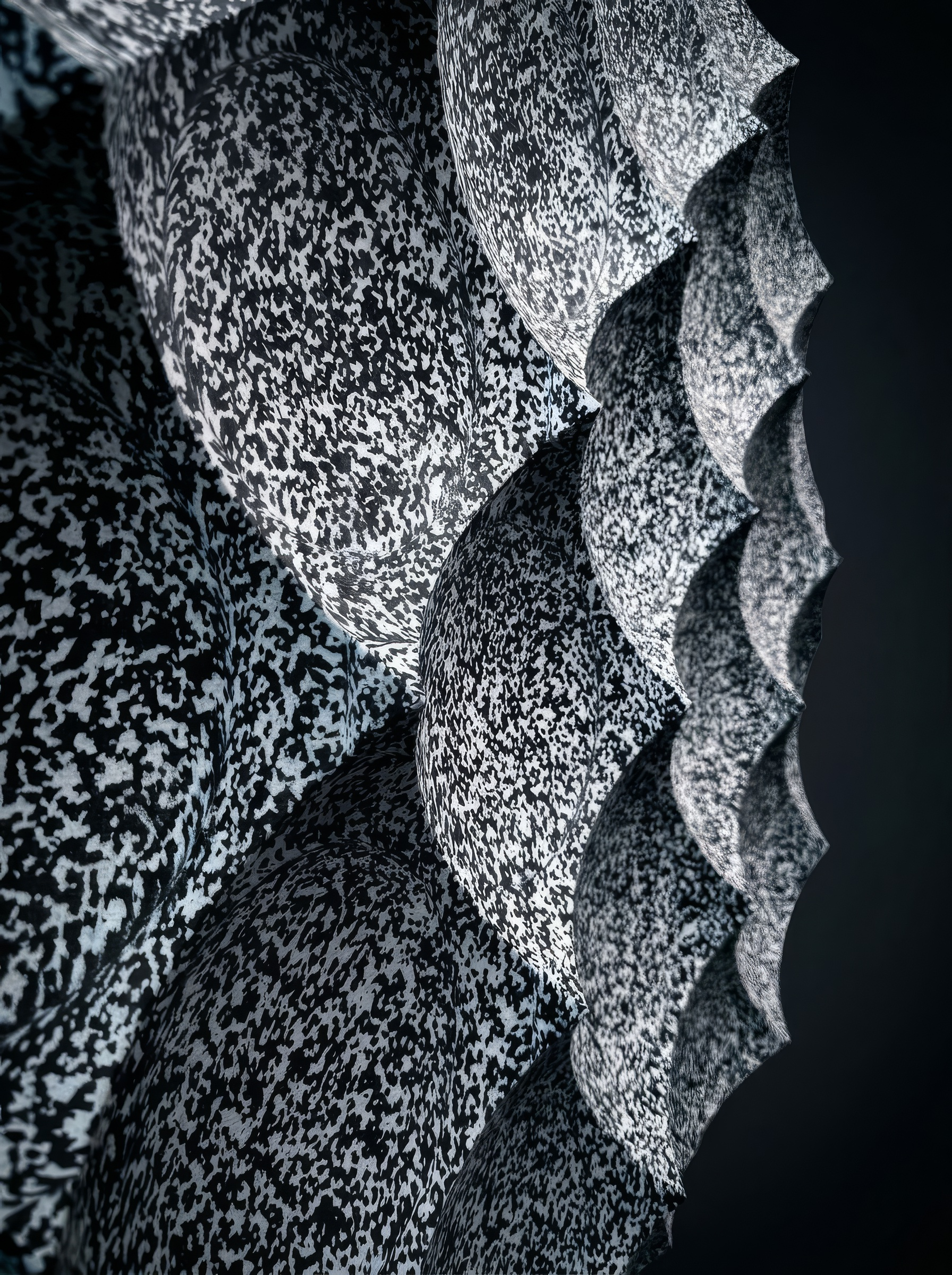JOE DOUCET-TRANSMISSIONS--DIFFUSER-2.png