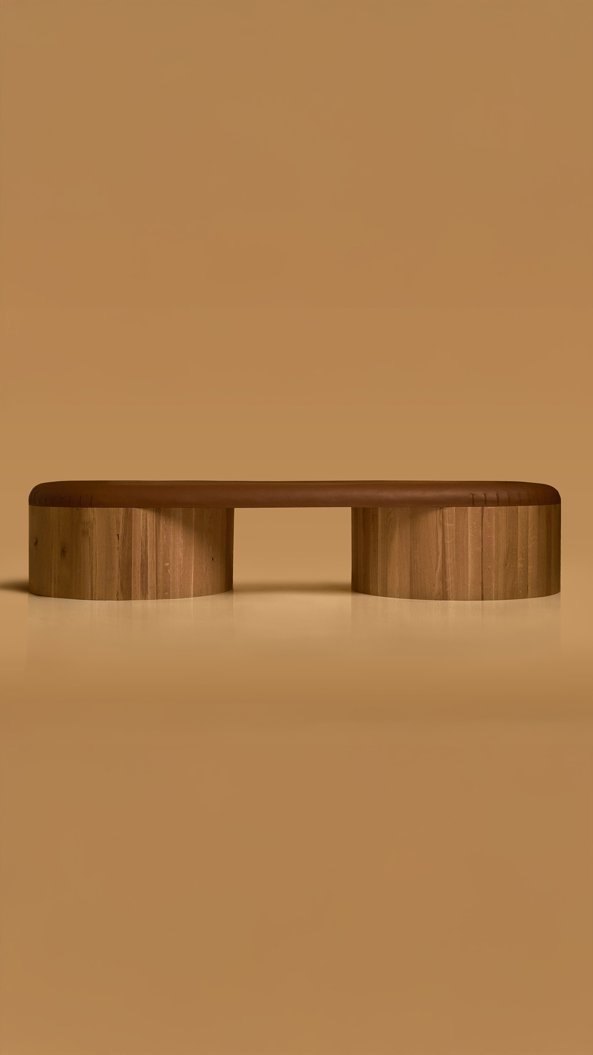 Joe Doucet-Oublier-Bench-1 copy.jpg