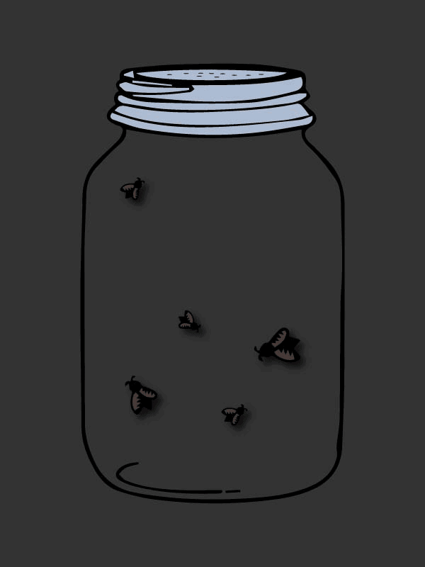 Firefly-Night_small2.gif