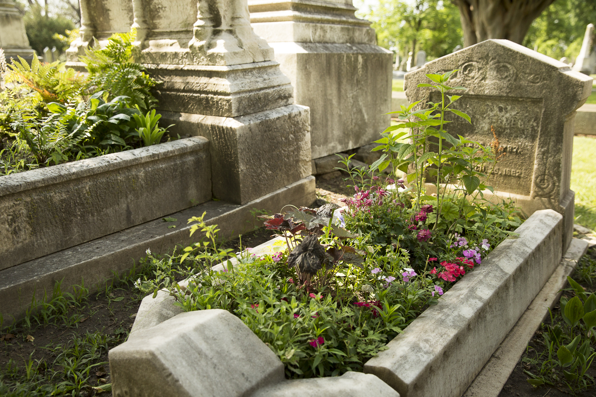 Some of the 2016 Grave Gardens, blooming in June.