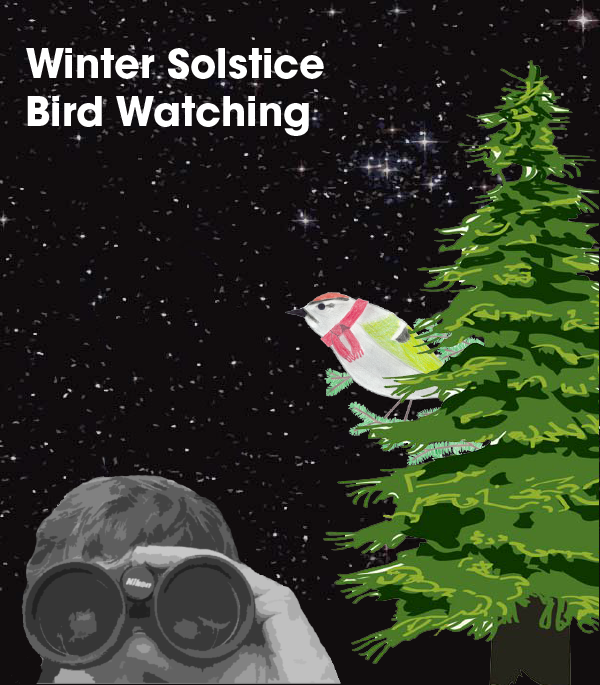 Solstice_Flyer-NO-DATE.png