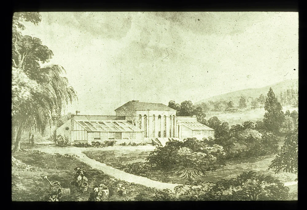 Greenhouse-web.jpg