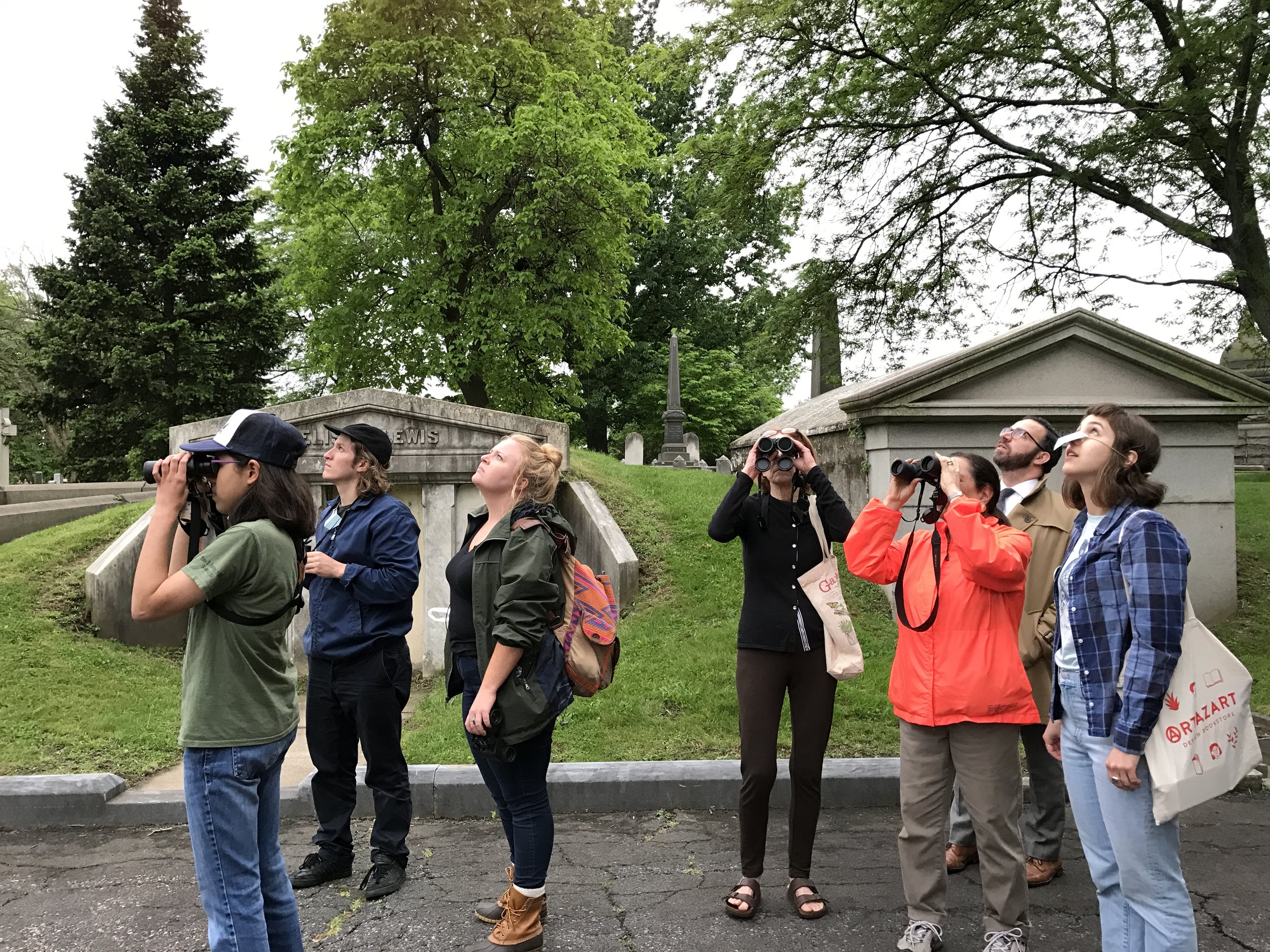 Birding_Zine_Release.jpg