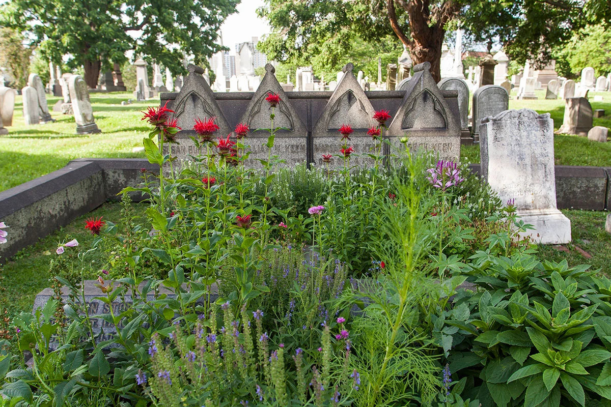 Growing Community with The Woodlands Grave Gardeners — The Woodlands