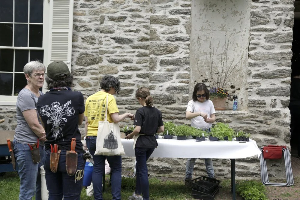 Grave Garden Orientation