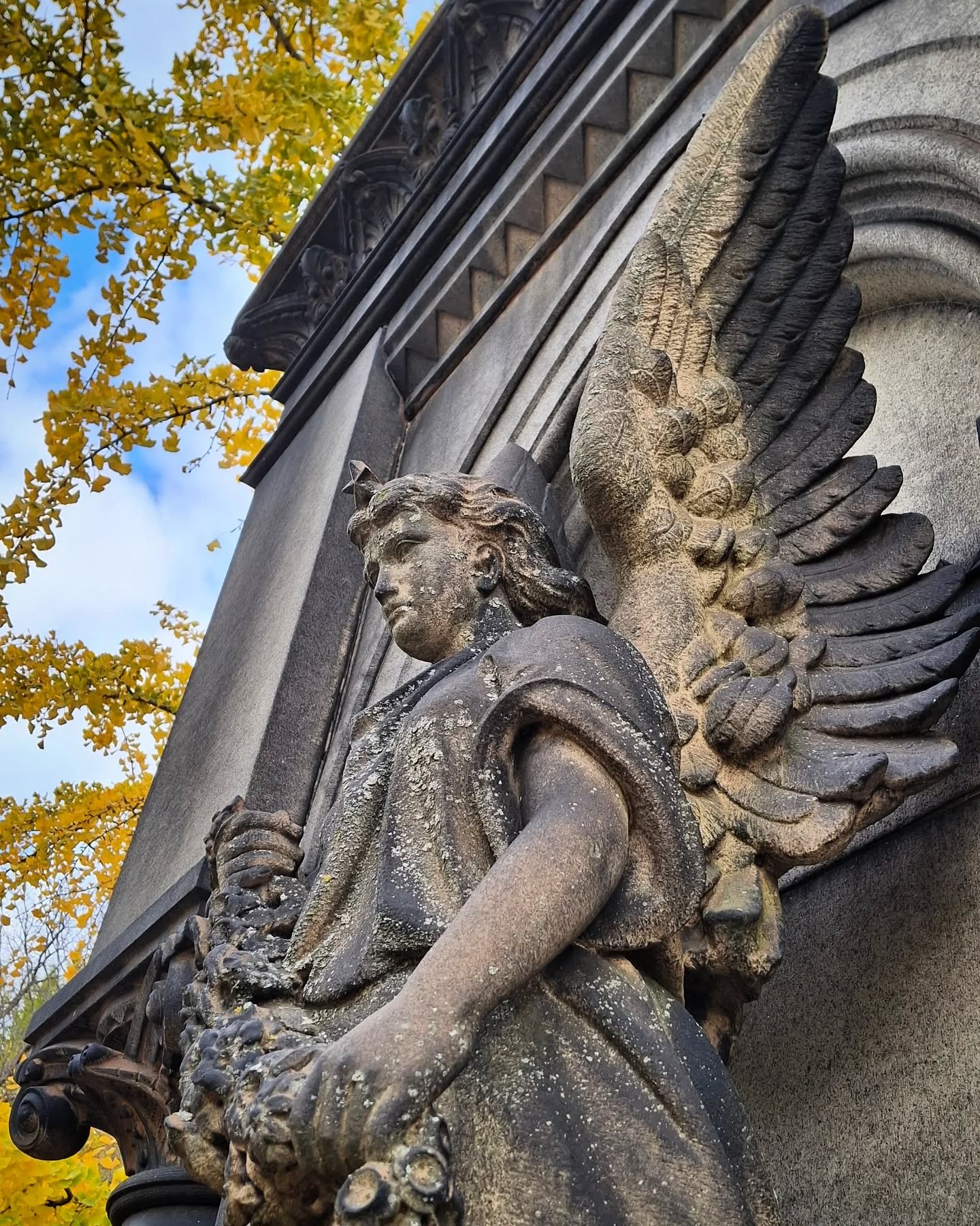 tall @cemetery_seen.jpeg