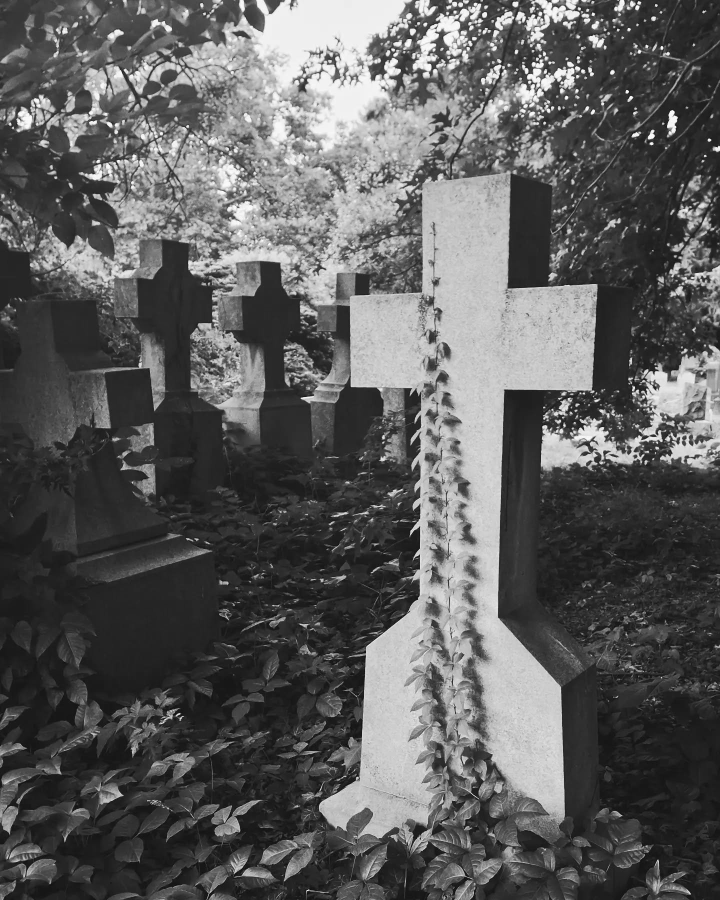 tall 2 @cemetery_seen.jpeg