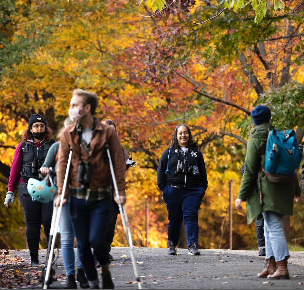 Take the Art-Reach Visitor Accessibility Survey