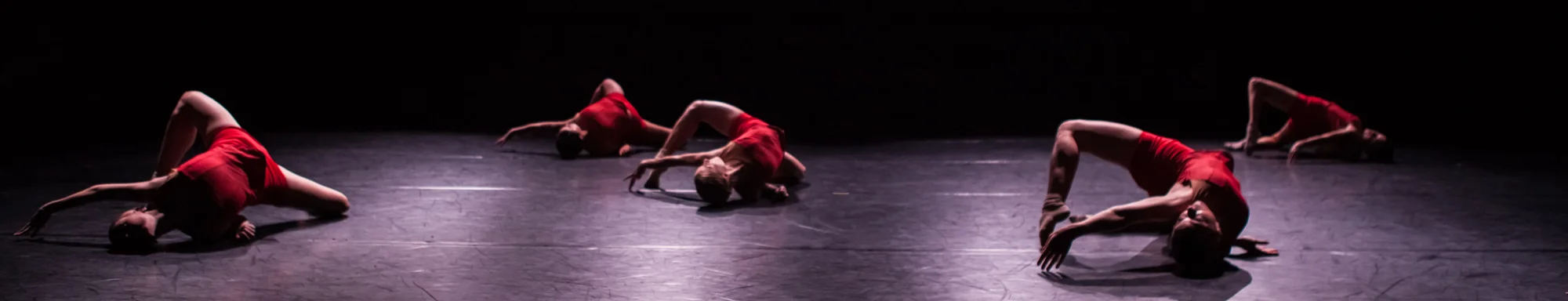 Image by Denise Leitner.