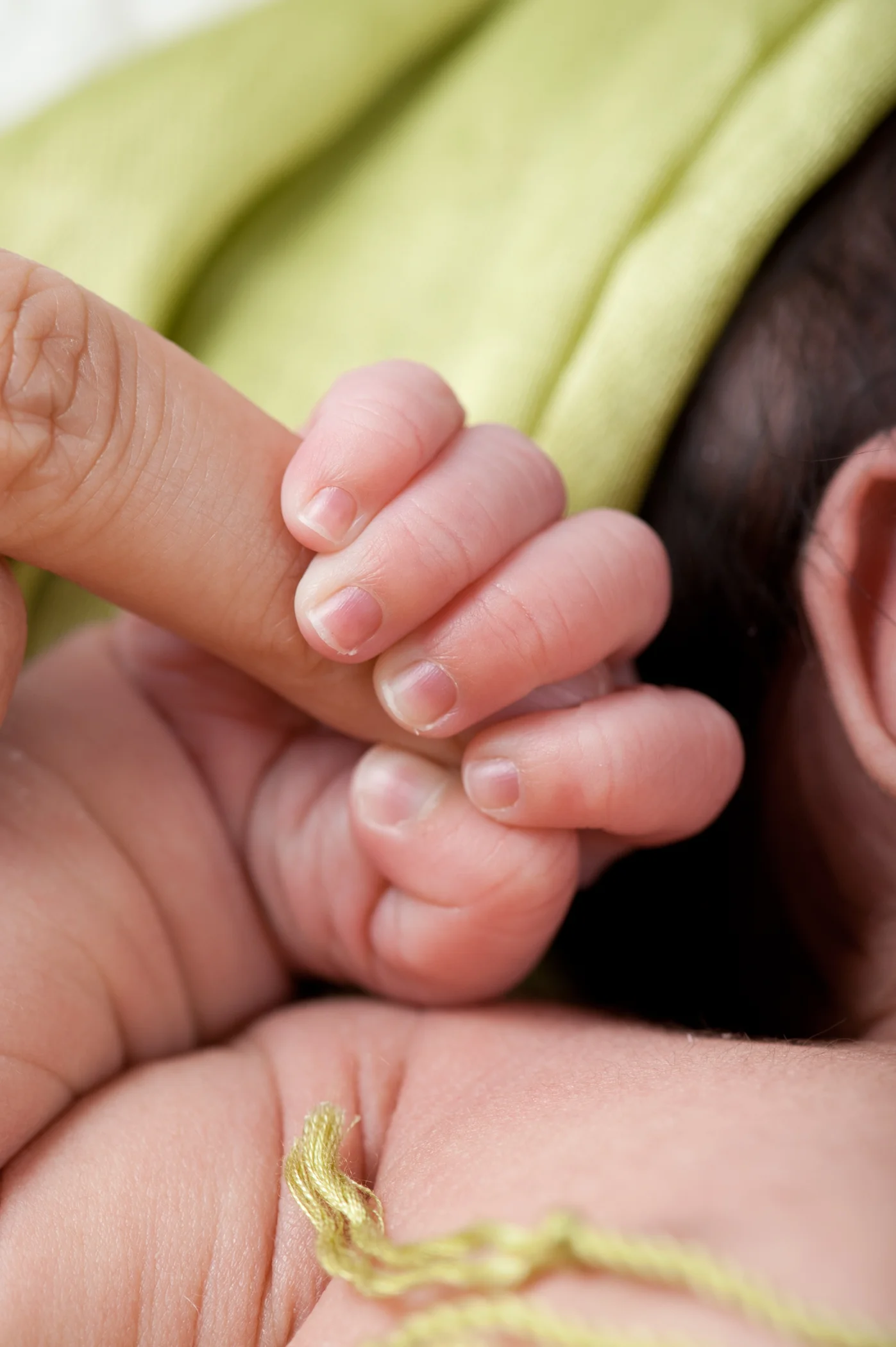 newfoundland_newborn_photographer-1.jpg