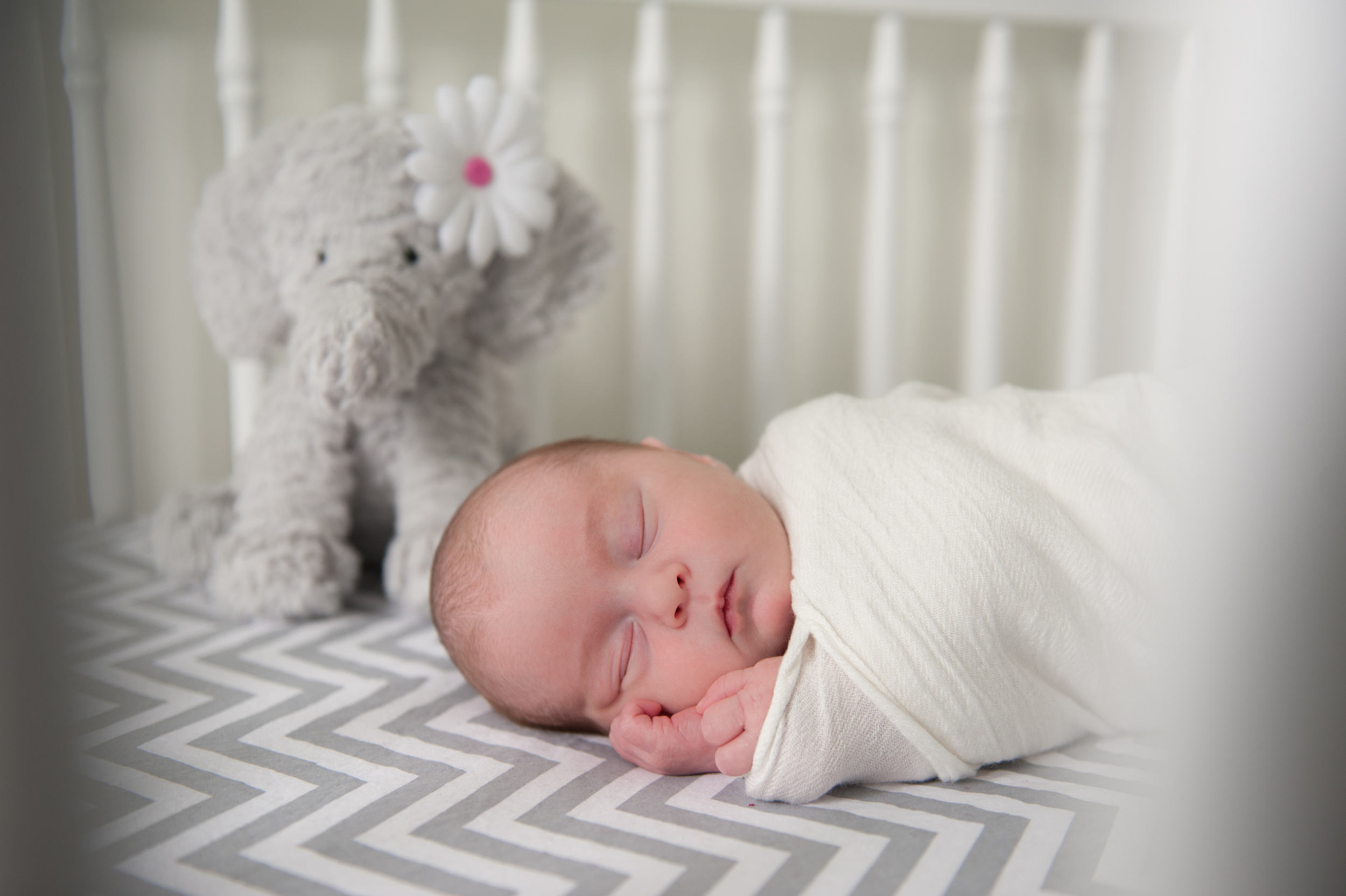 St. John's Newfoundland Newborn Photographer Photography