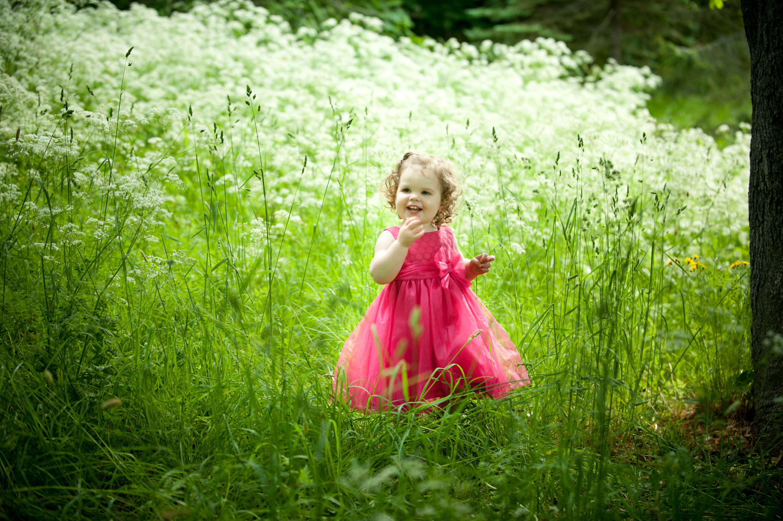 Newfoundland Portrait Photographer Maggie Langer