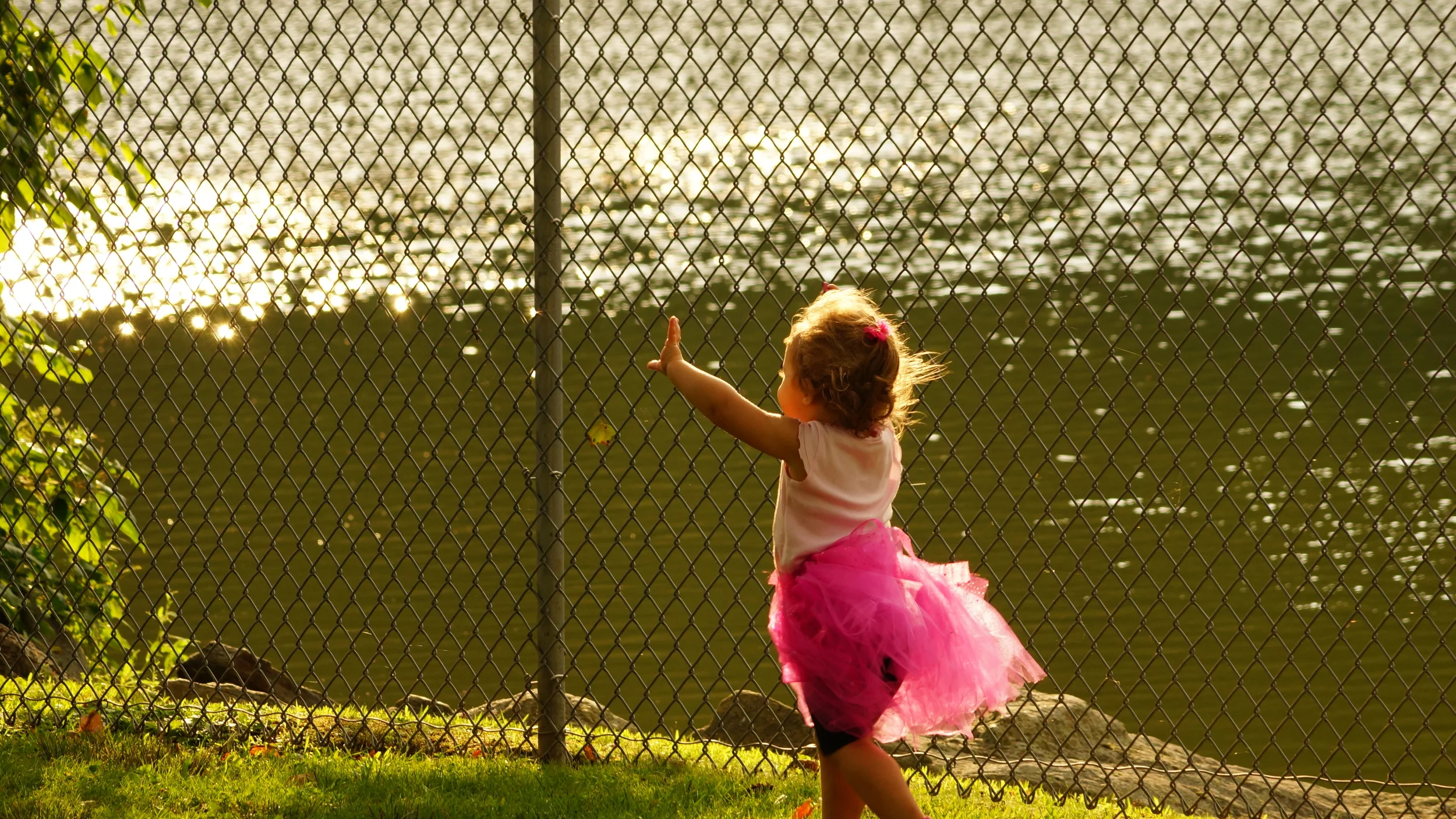 2012-08-11 at 17-30-59.JPG