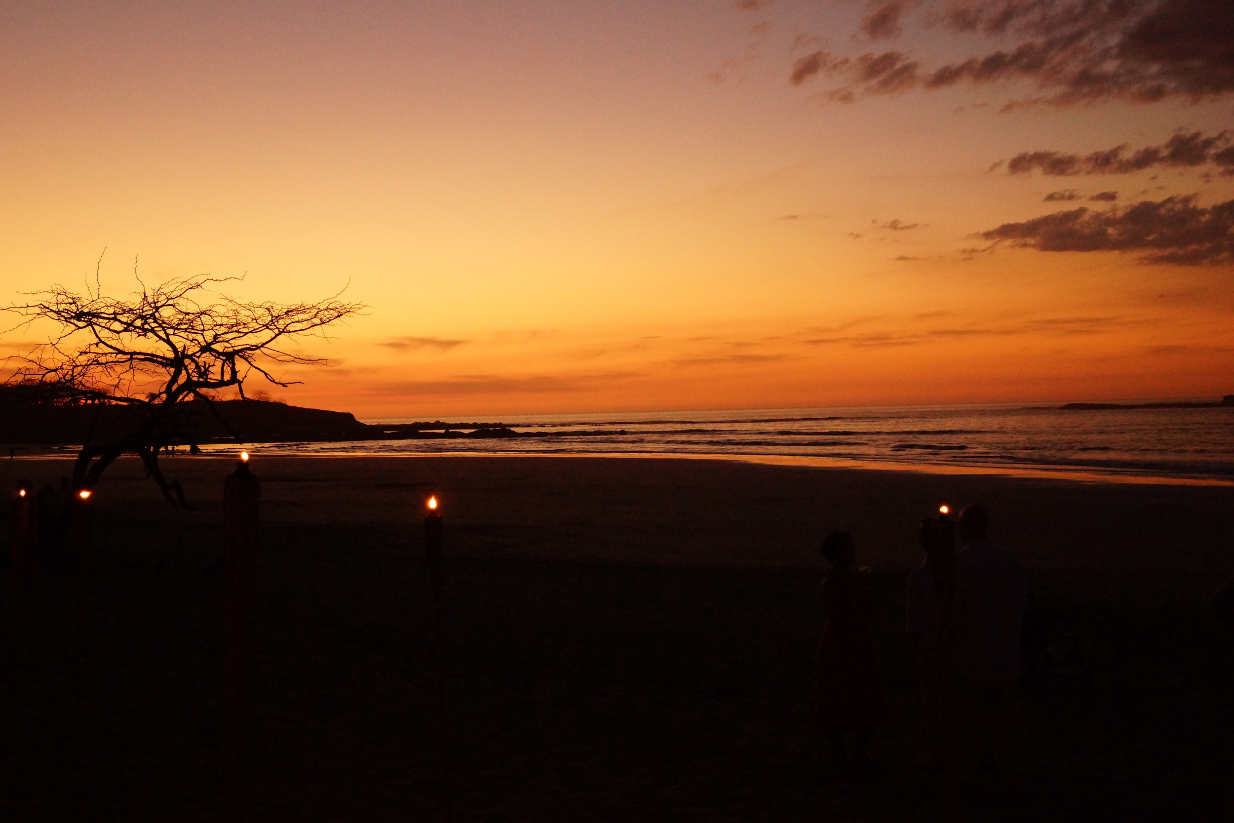 DSC01088.JPG