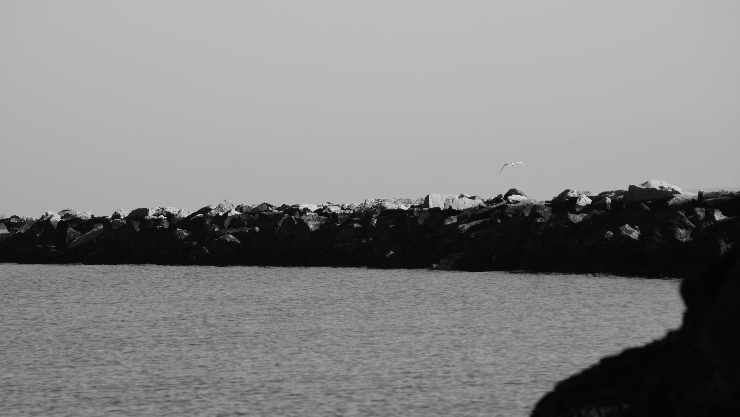 DSC09488.JPG