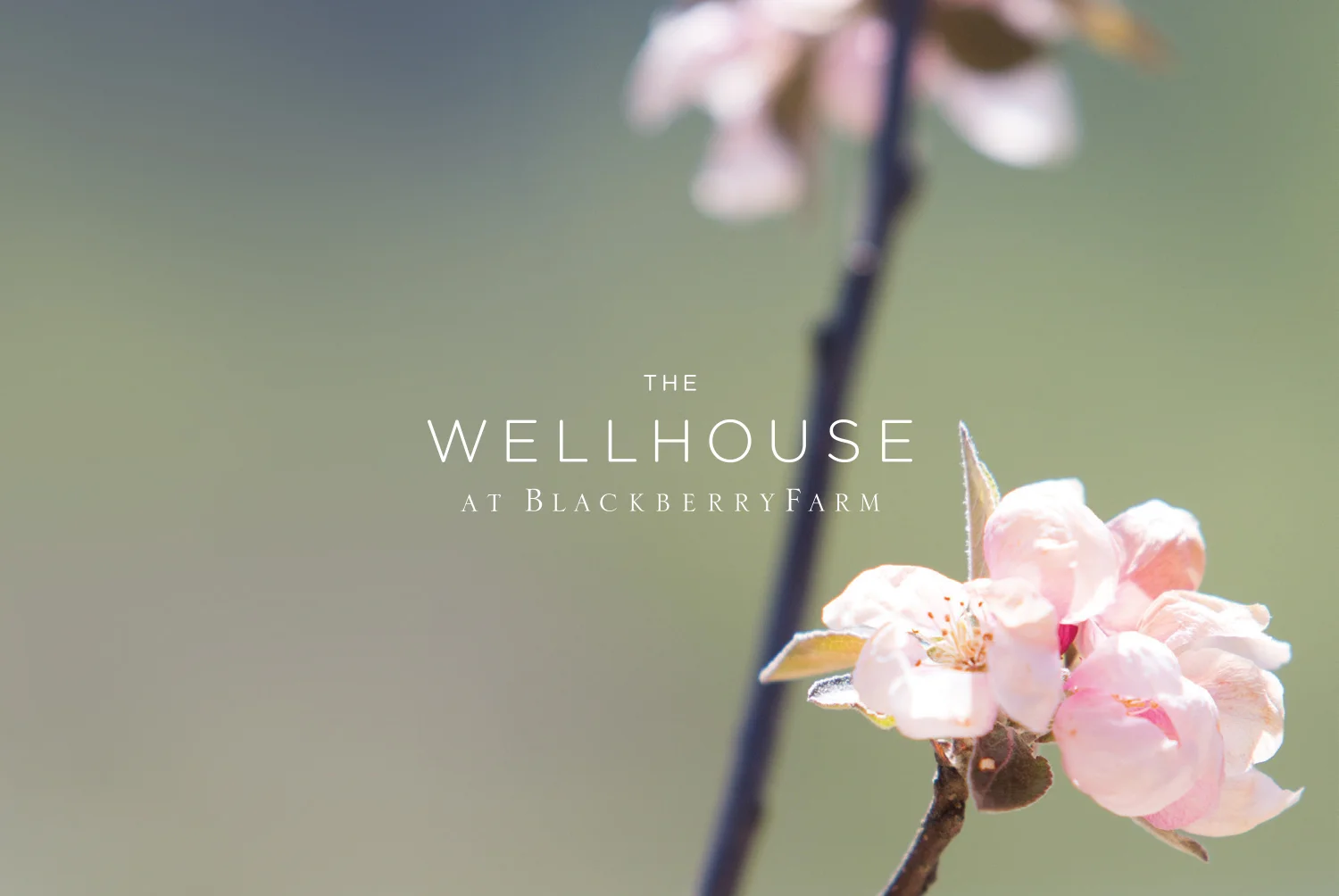 KathrynDave_BlackberryFarm_Wellhouse.jpg