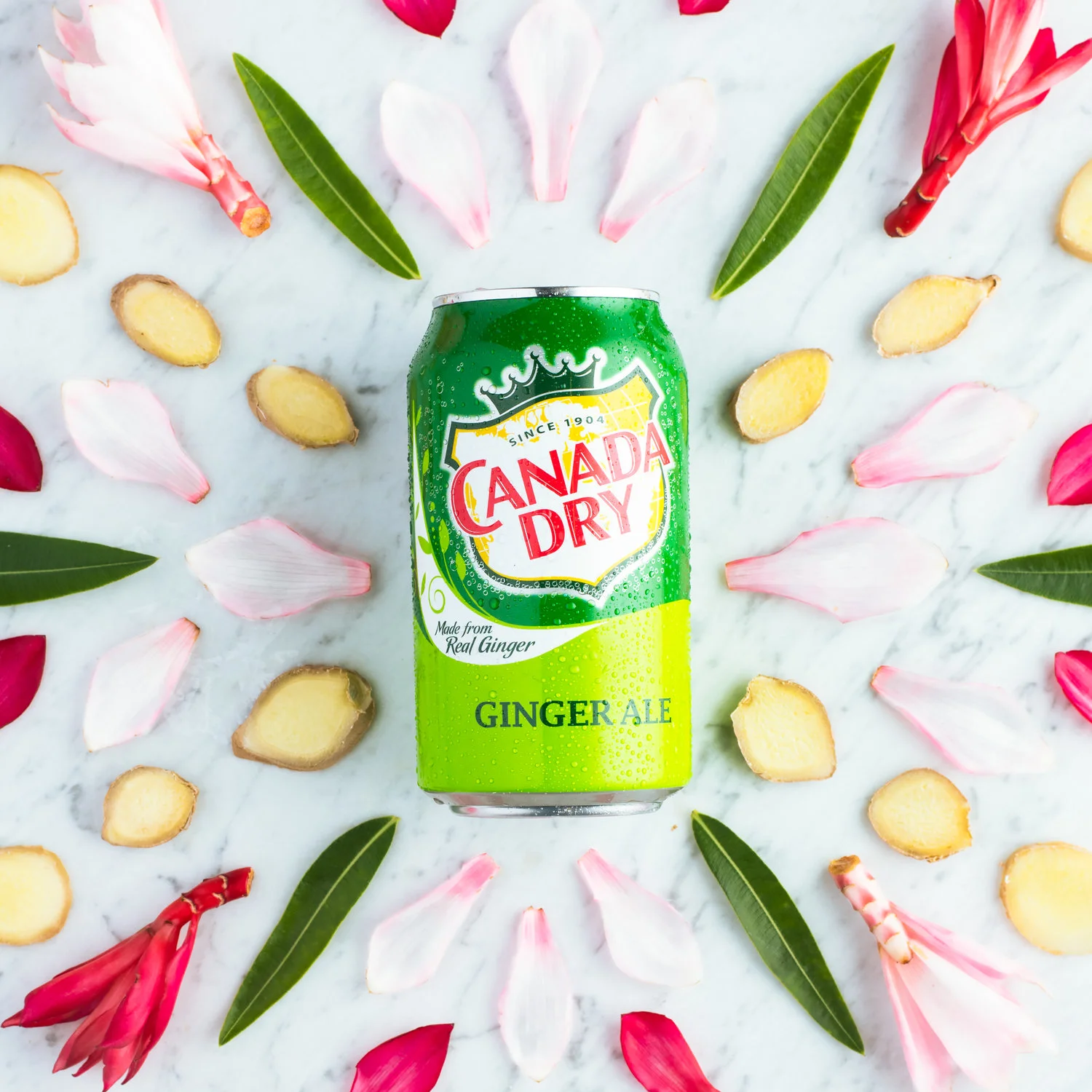 canada+dry+-+elements-33-Edit.jpg