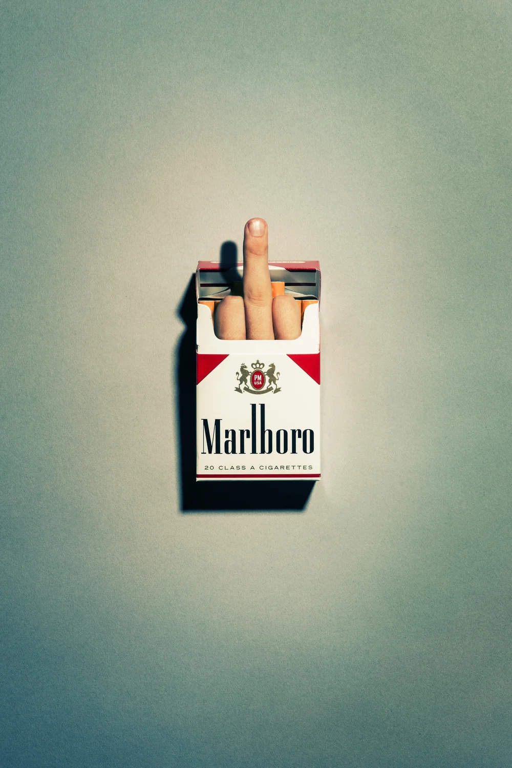 fuck+you+cigarettes+copy.jpg