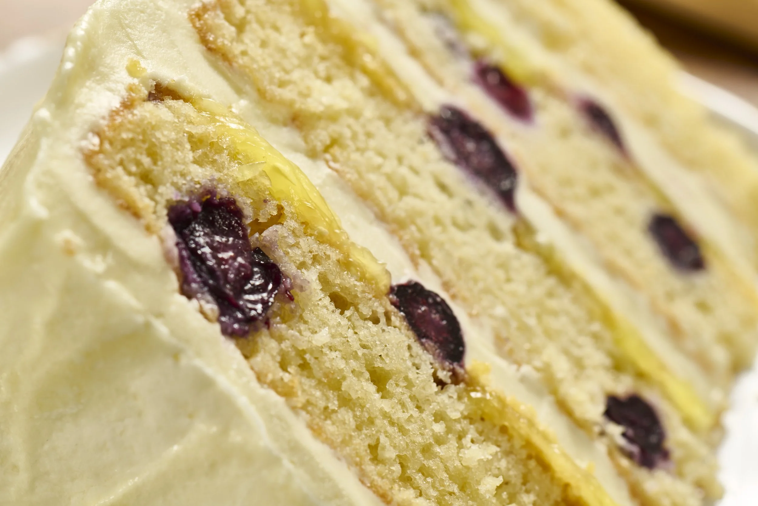 Newks_Lemon Blueberry Cake Slice Hero_28740.jpg