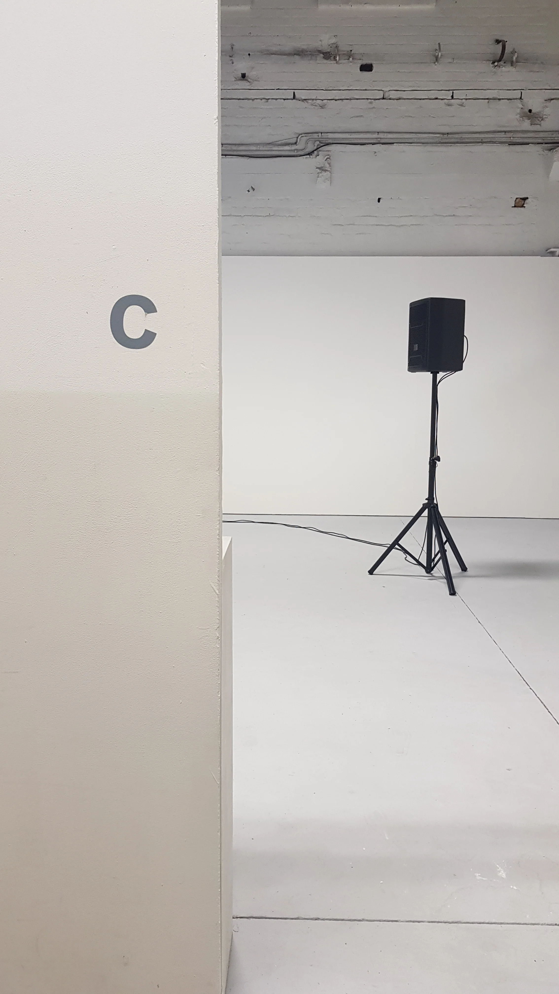 20190717_114255.jpg