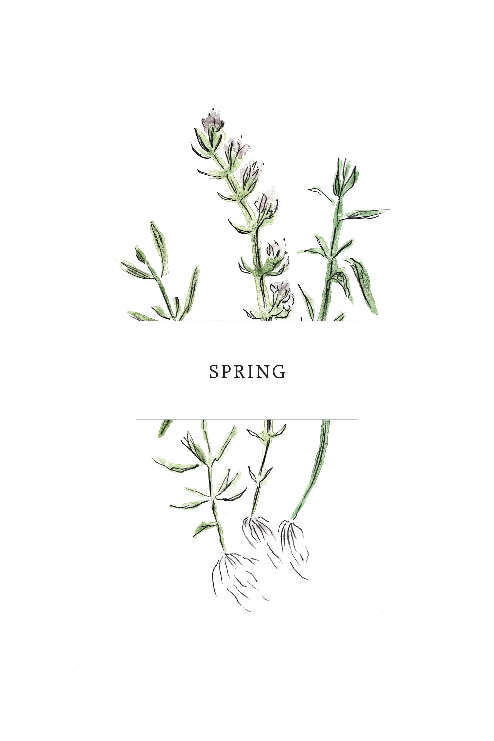 JivanDave_BBF_YearSpring.jpg