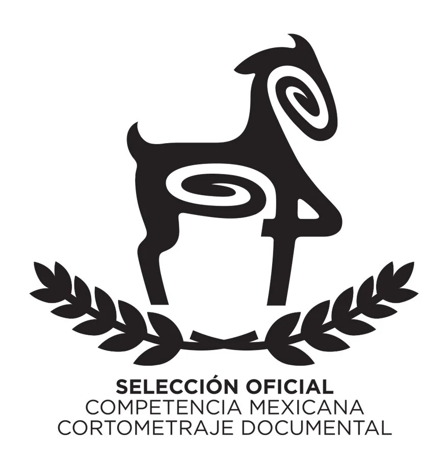 laureles ficmonterrey SO CMXD.jpg