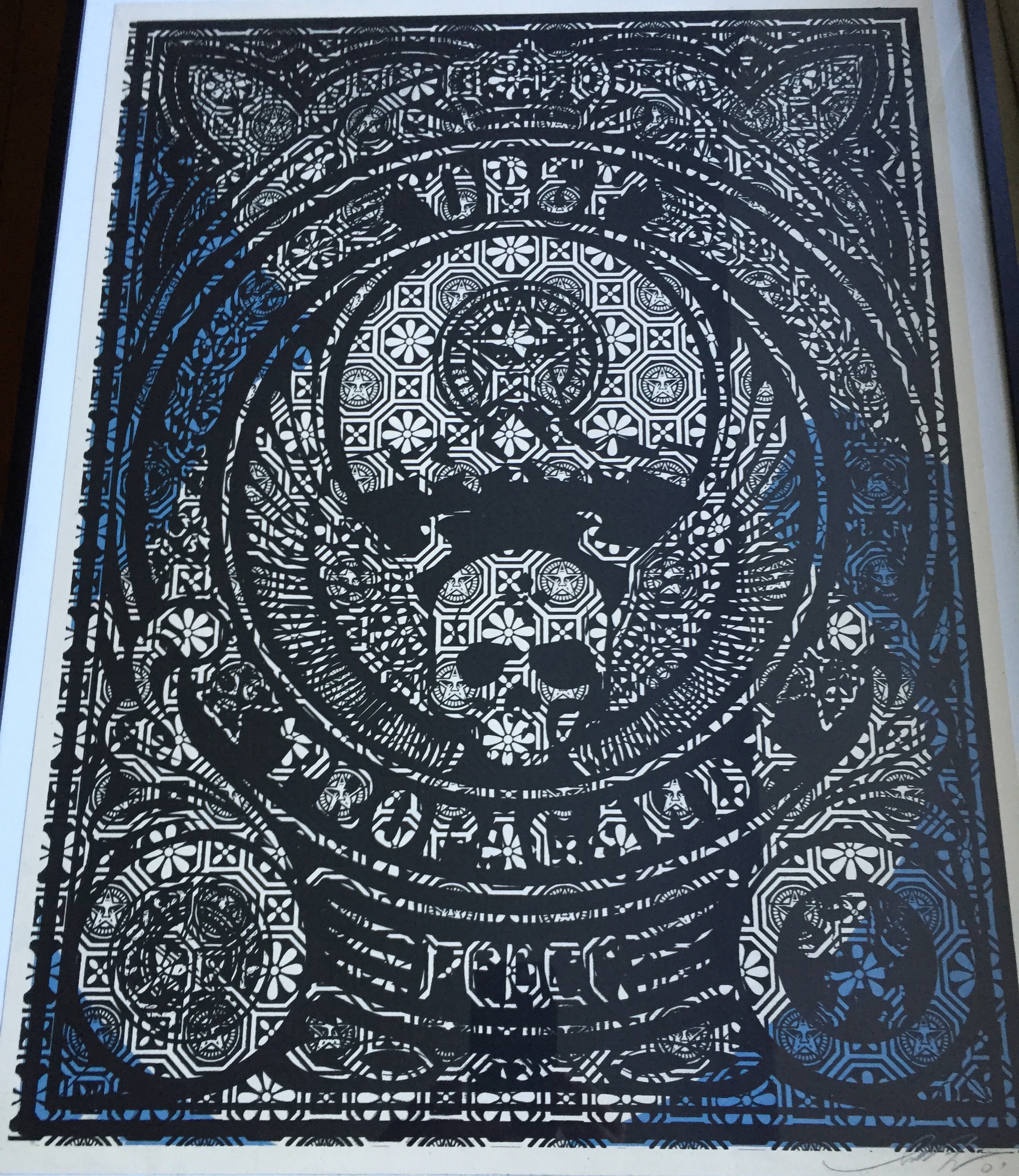 Shepard Fairey