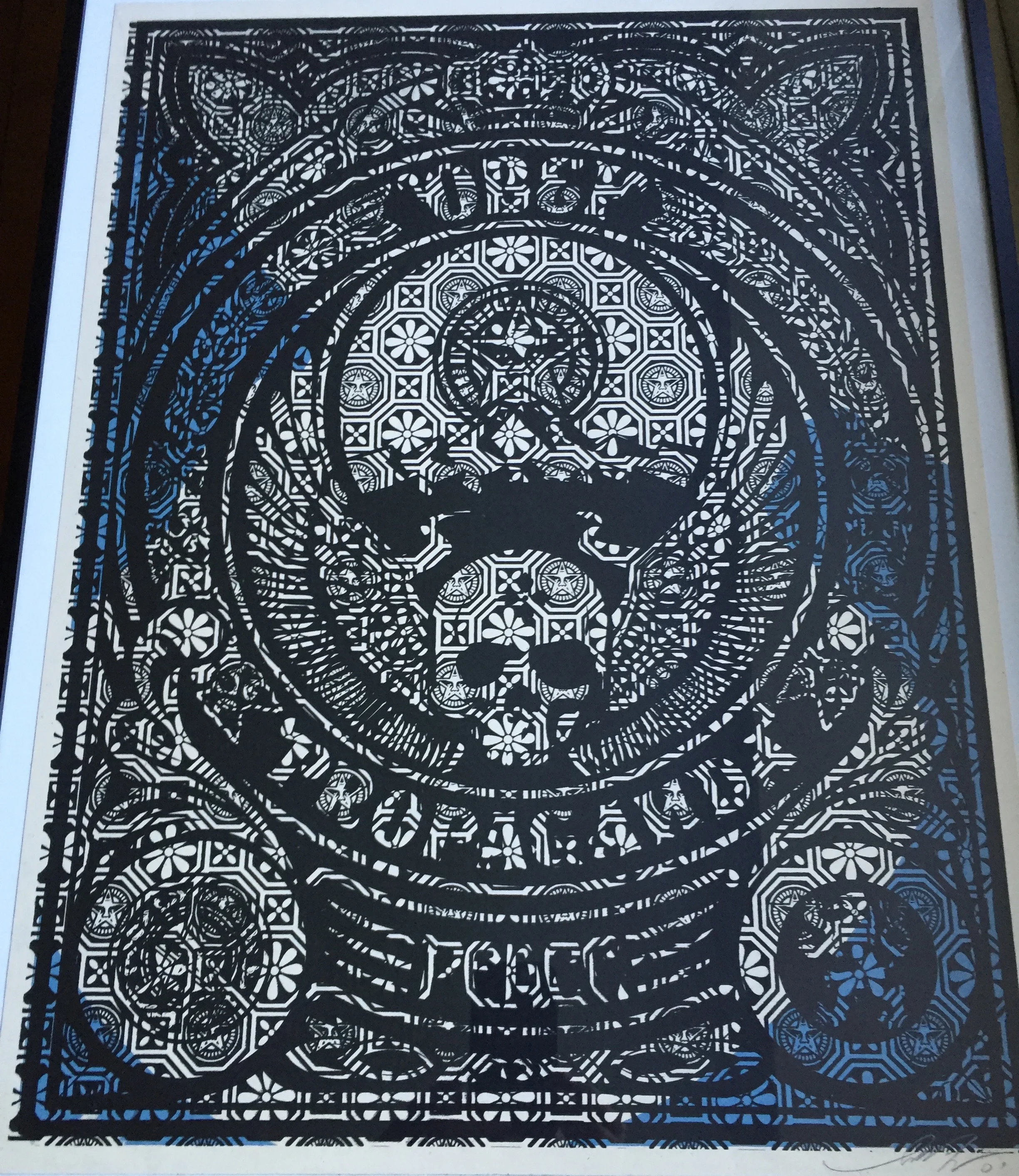 Shepard Fairey