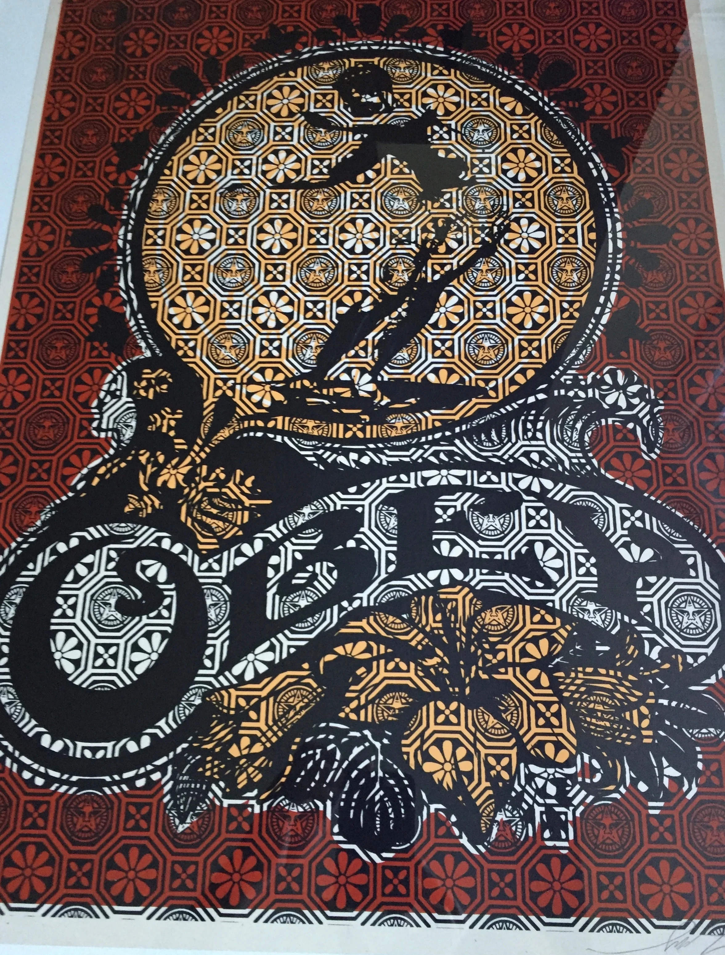 Shepard Fairey