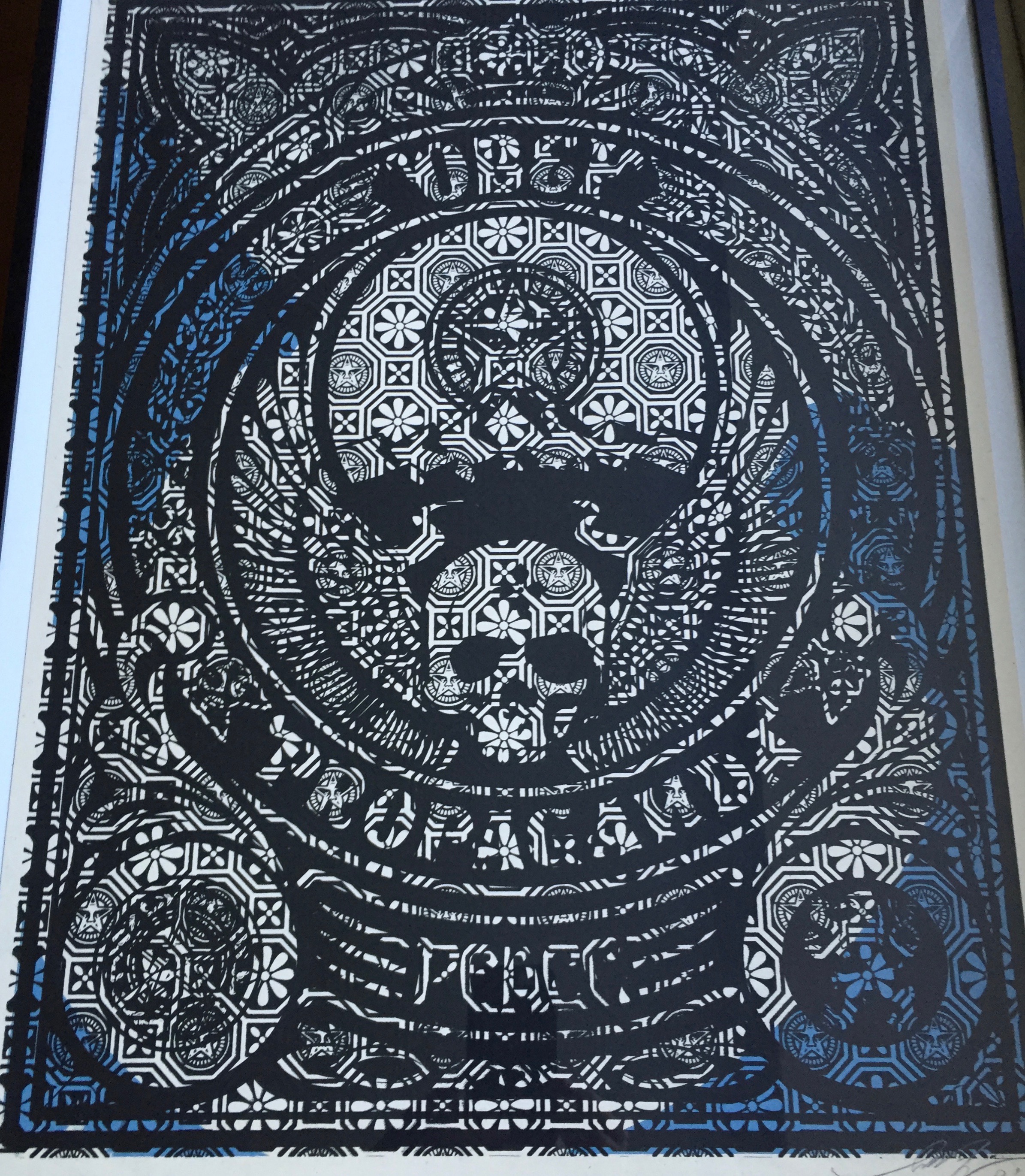 Shepard Fairey