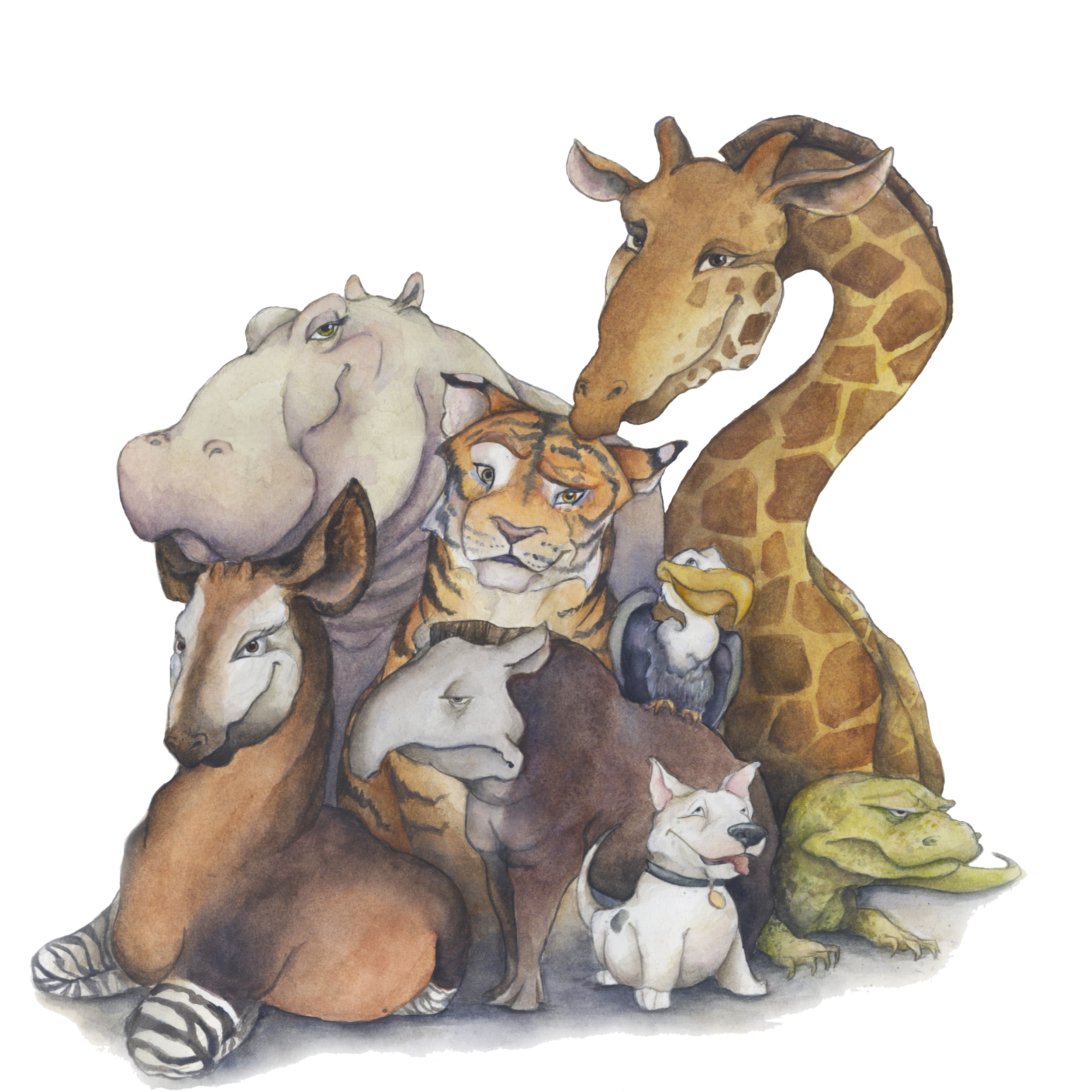 animals-1.png