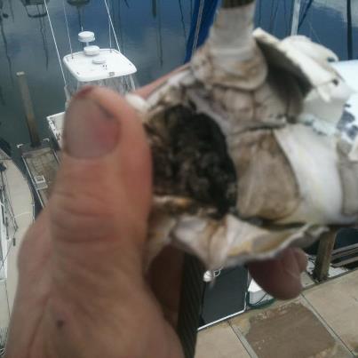 Ericson 38 rigging