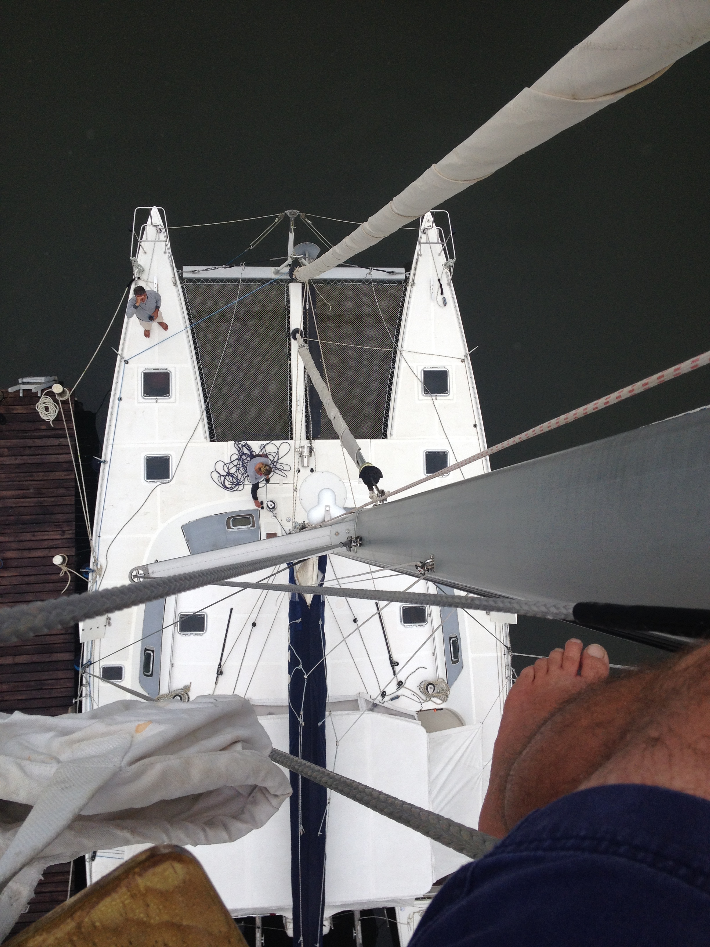 Switch 51 Catamaran