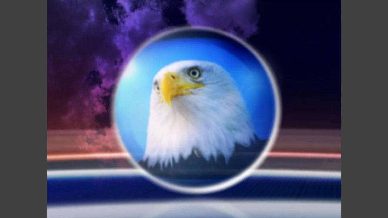 Deloitte2005 (0;01;07;29).jpg