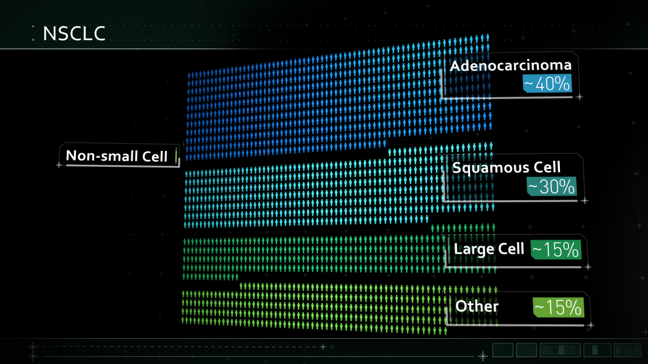 05-24-17_WED BRI 7316 Brigatinib MOA_Open_Final_Animation (0-01-00-27).jpg