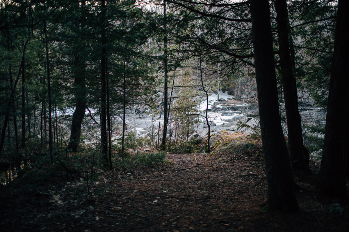 B45A9147.jpg