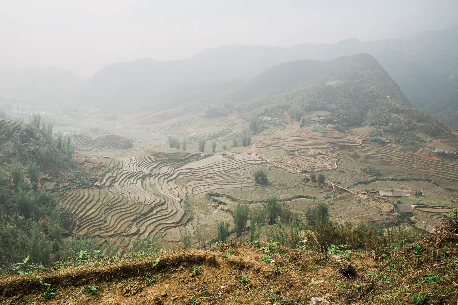 vietnamsethalwinphotoworks-57.jpg