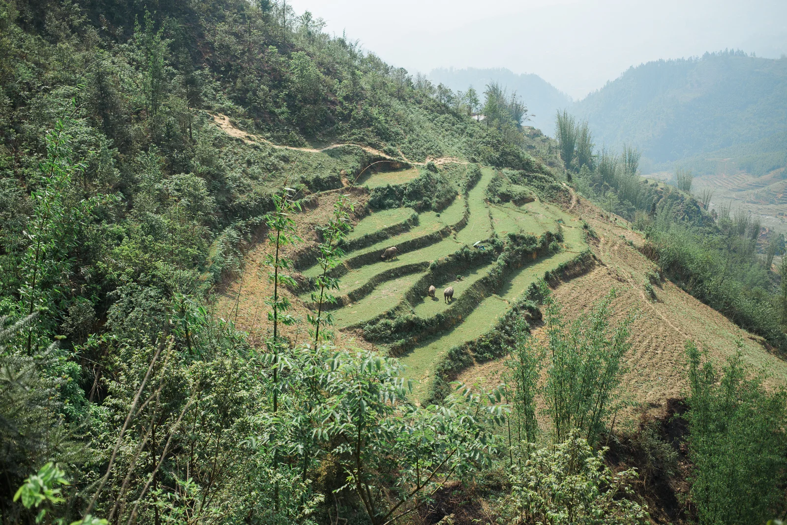 vietnamsethalwinphotoworks-71.jpg
