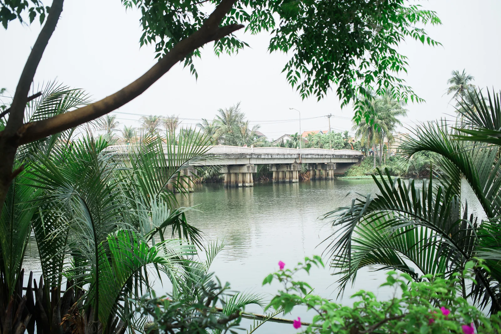 vietnamsethalwinphotoworks-86.jpg