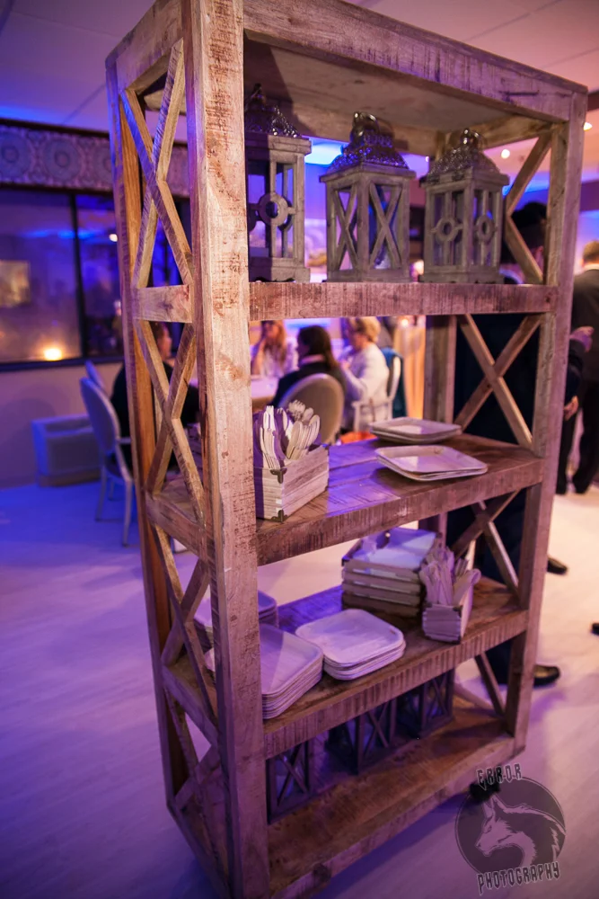 Willow Springs Gala Nov 2016-3.jpg