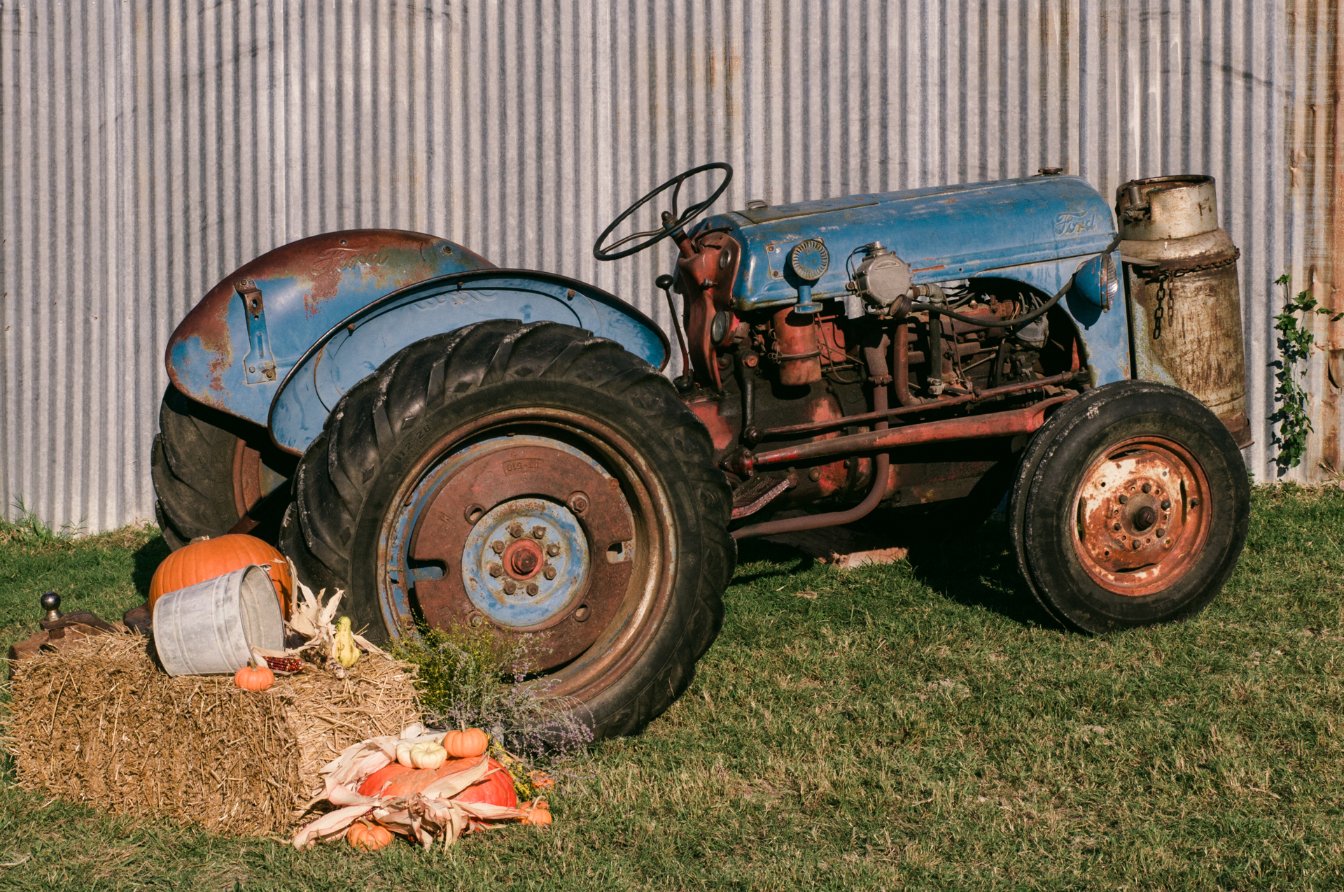 An Evening With Farm Aid