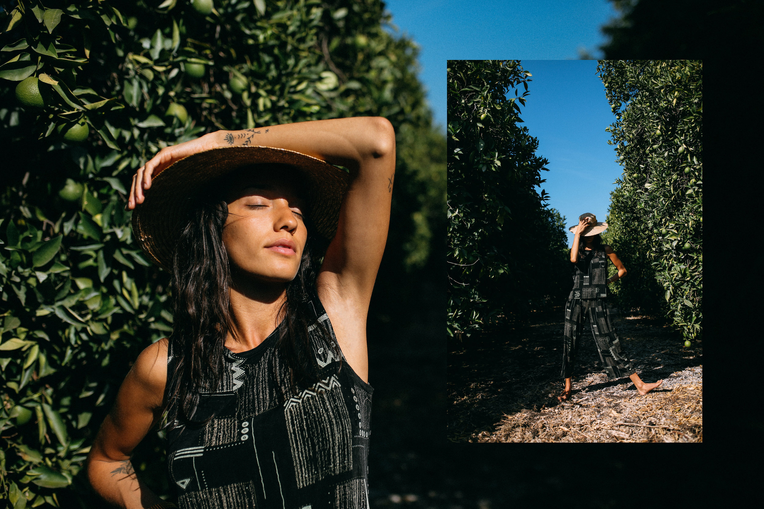 CHIQUITA DRIVE 2.jpg