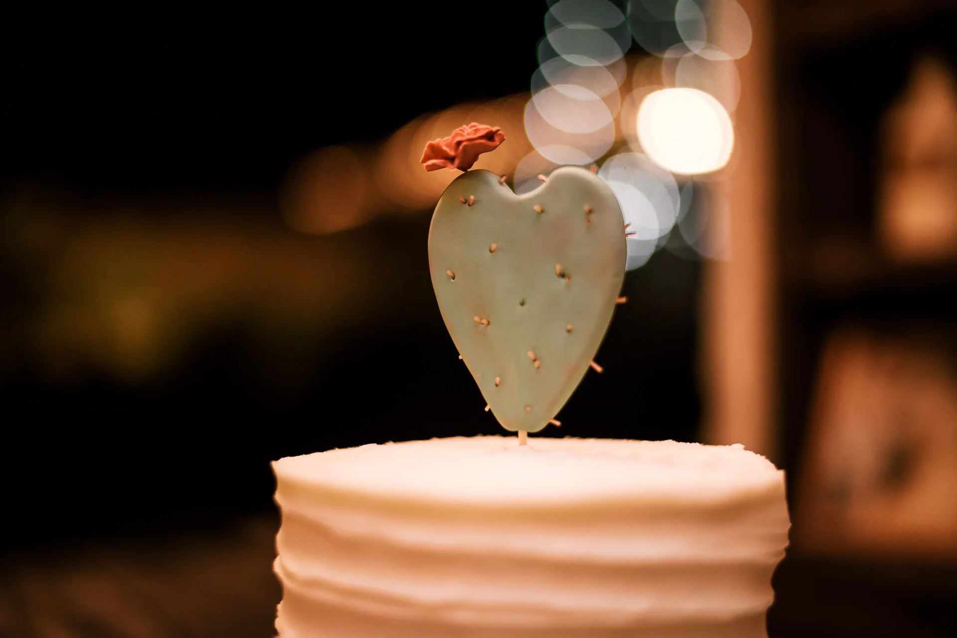 Drew and Christina's charming wedding at the Historic Leo Carril